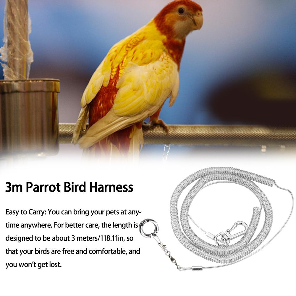 Correa Flexible para pájaros de 3M con anillo para la pierna, arnés ultraligero para loro, pájaro, antimordedura, cuerda de entrenamiento de vuelo al aire libre para Guacamayo, cacatúa