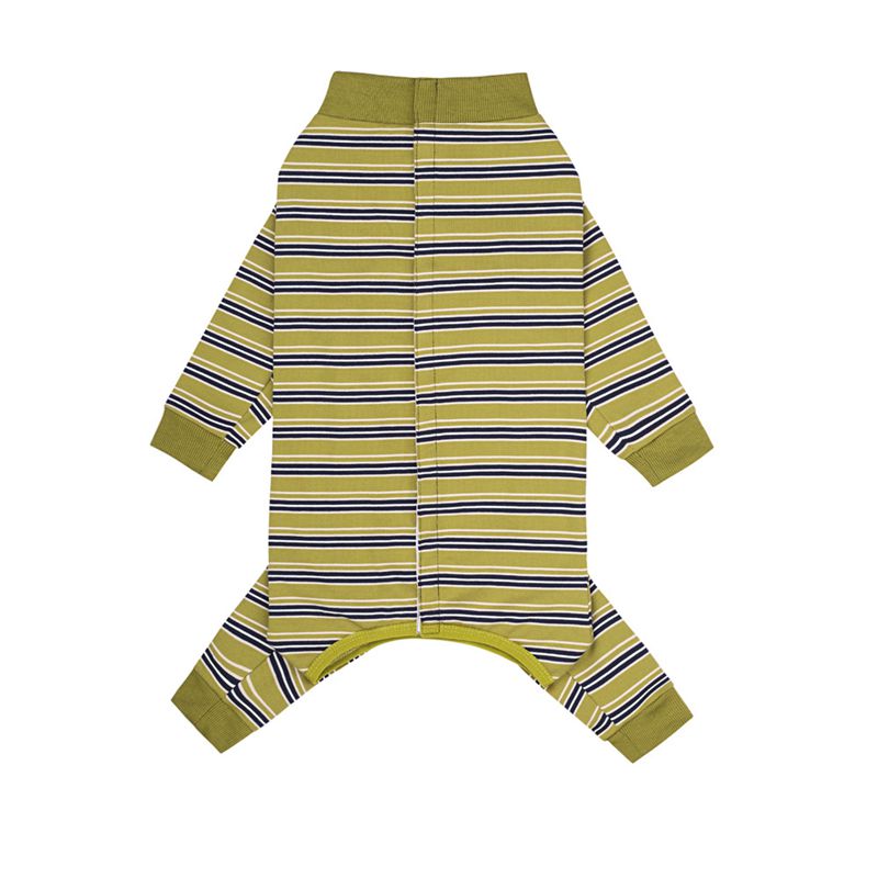 Combinaison pour chien, couverture complète, combinaison de récupération après chirurgie, body Anti-perte, pyjama clapant pour animaux de compagnie, pour petits, moyens et grands chiens: XS / green