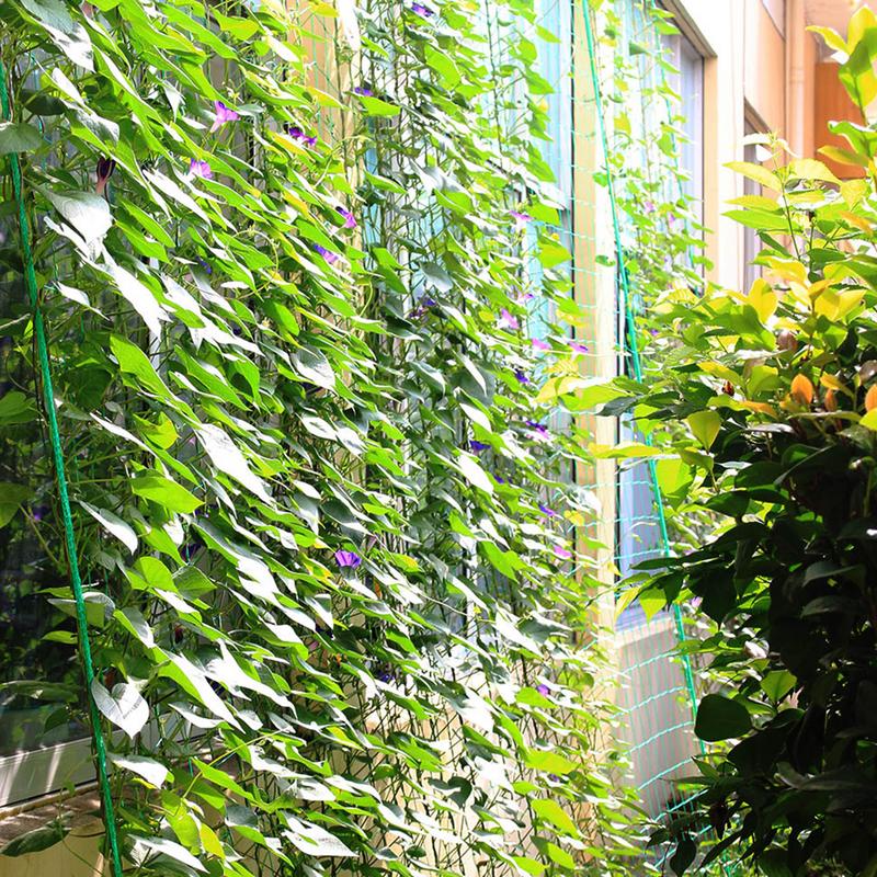 Inew Aankomst Tuin Groen Nylon Trellis Netting Ondersteuning Klimmen Bean Plant Netten Groeien Hek