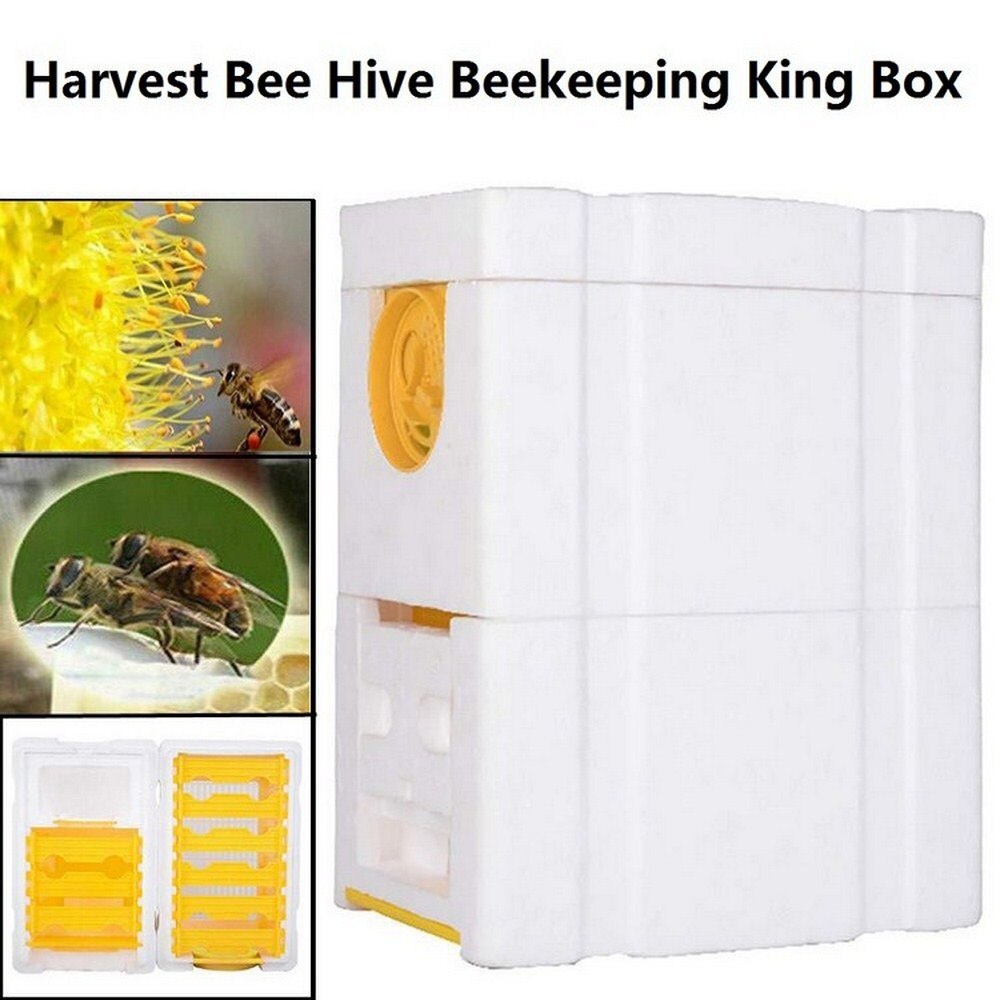 Harvest bee Hive Pollination Box Foam Frames Beekeeping Tool Kit Bee Hive Beekeeping King Box Bee Hive Home Beekeeper Tools