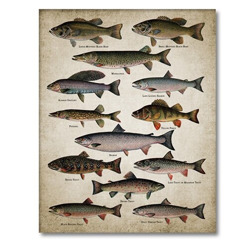 Fishing Angling Wall Art Canvas Posters Prints Breeds Of Fish Painting Freshwater Fish Wall Picture Poster Kraft paper