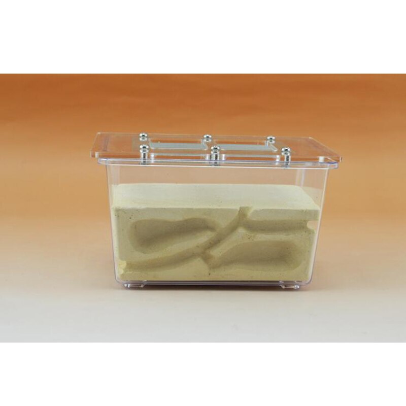 Ecological Pet Ant Nest Three-dimensional Ant Villa Small Four-sided Ant Farm Breeding Nest