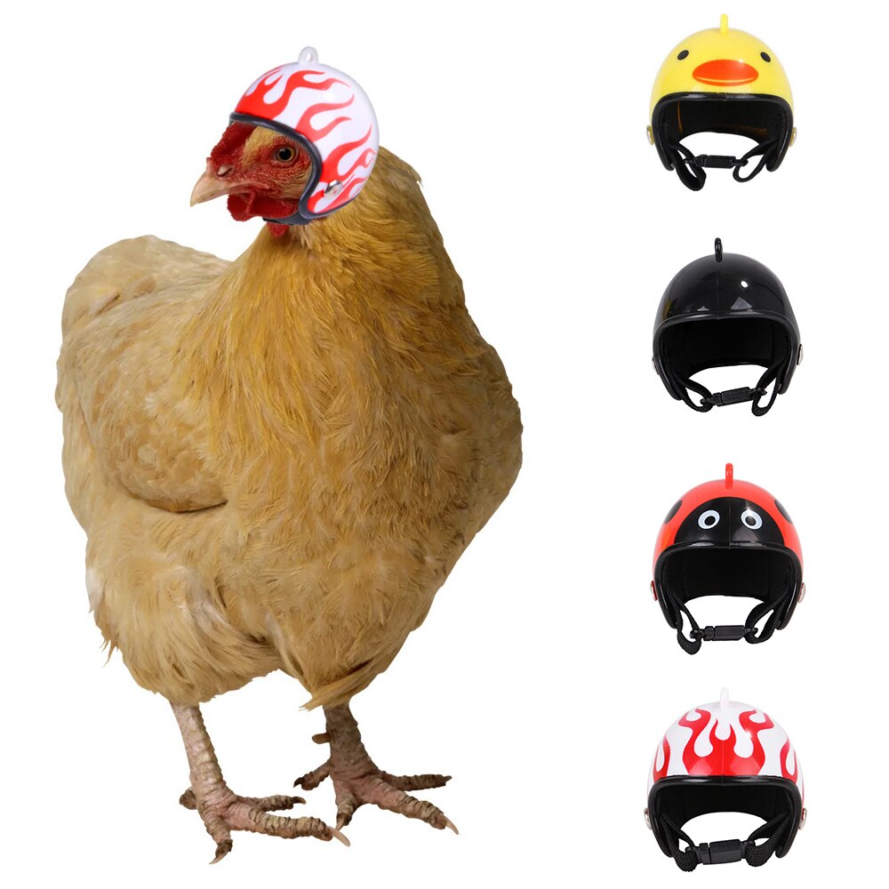 Casque de poulet pour petit animal de compagnie, rigide, avec tête d'oiseau, canard, caille, couvre-chef, protection de la tête