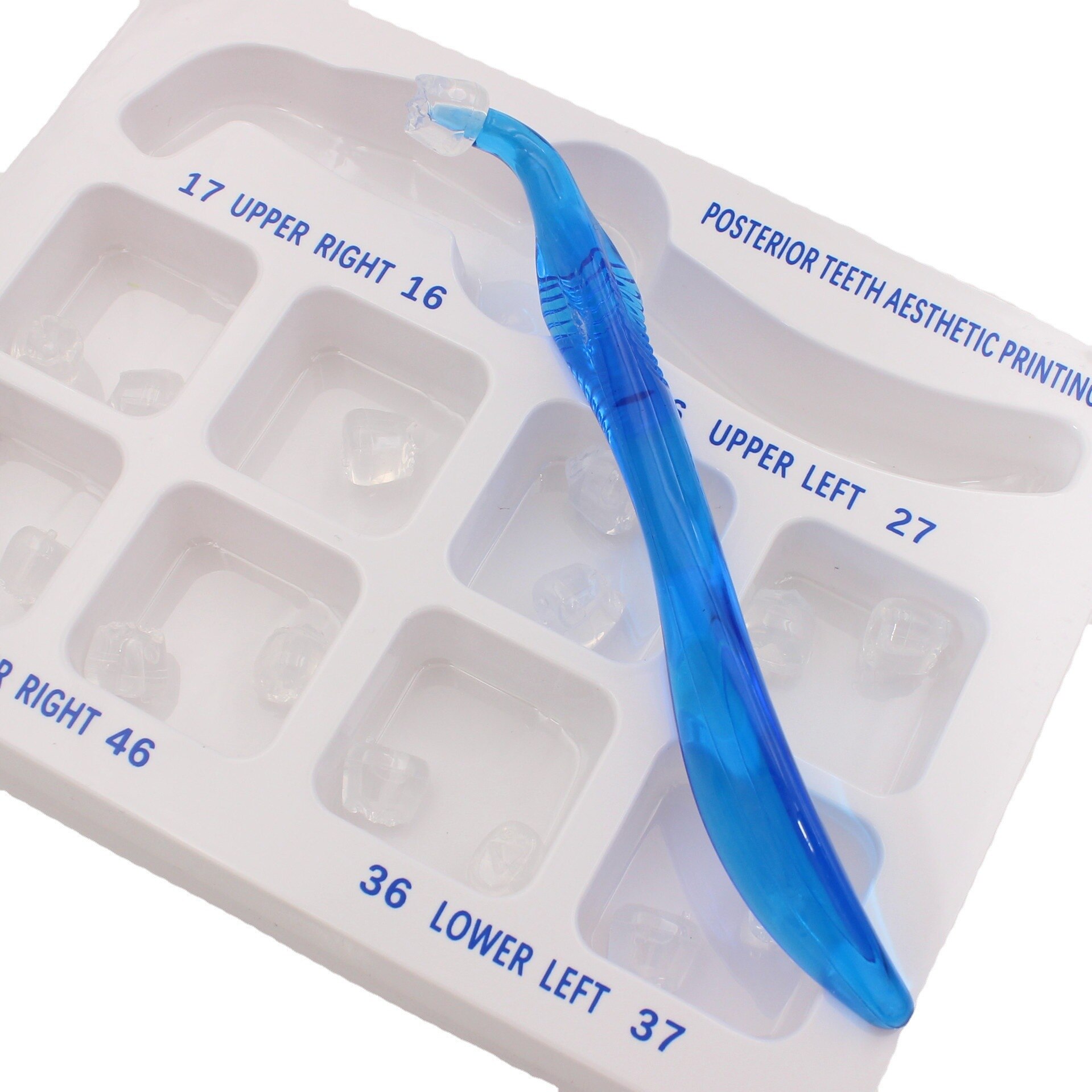 1 Set Dental Posterior Teeth Aesthetic Printing Set Posterior Teeth Impression Printing Set Dental Oral Material