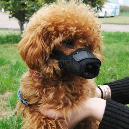 SOFT Nylon Adjustable ANTI Bite Bark DOG SAFETY MUZZLE Breathable Mesh MUZZEL: B / M