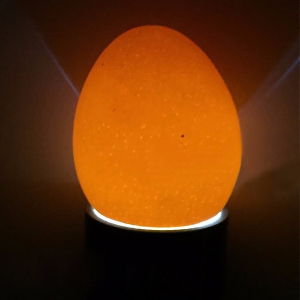 1 pièces incubateur aubergine testeur oeuf bougie lampe 9 LED Super froid équipement d'incubation poulet outil