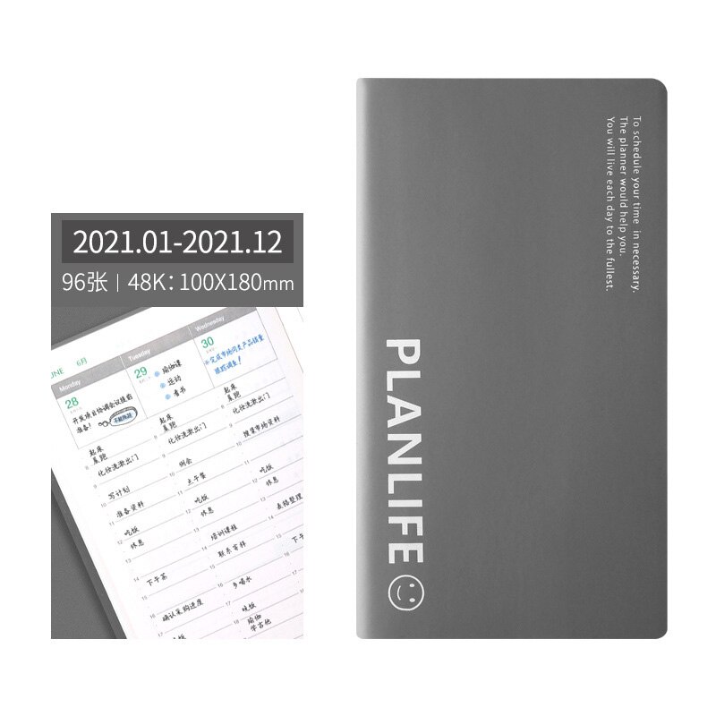 Planner Organizer Agenda Small A6 Diary Notebook and Journal Weekly Notepad Business Plan Pocket Note Book Traveles Daily: Grey