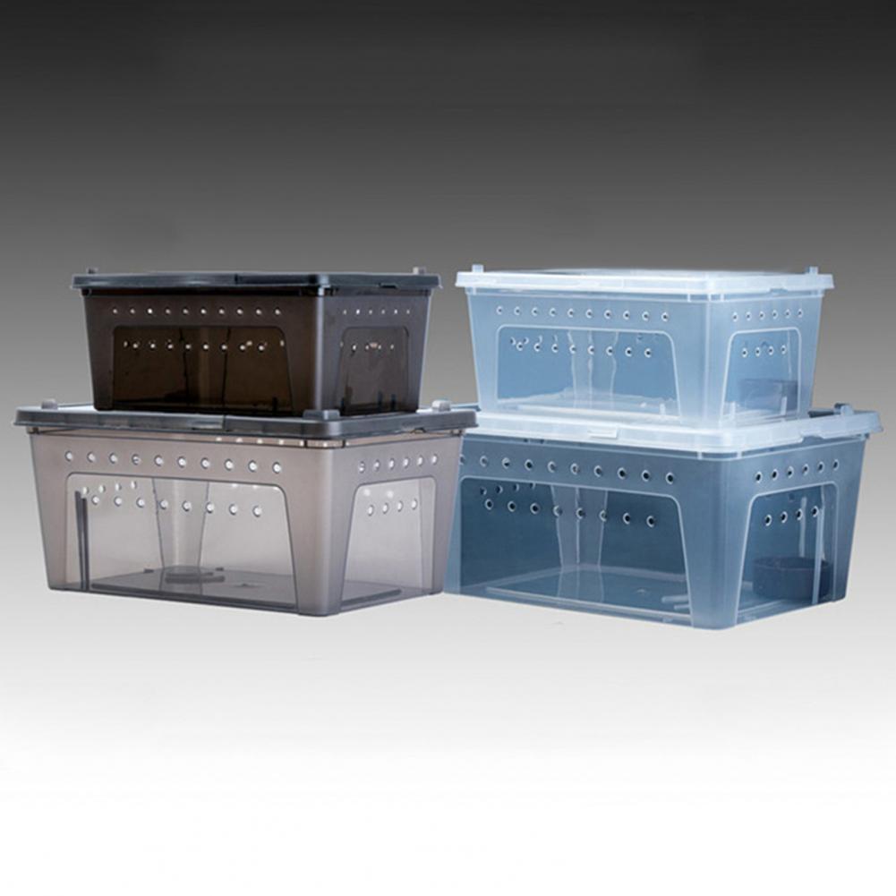 Popular Feeding Box Excellent Clarity Plastic Hatching Box Breeding Box Case for Snake Breeding Box