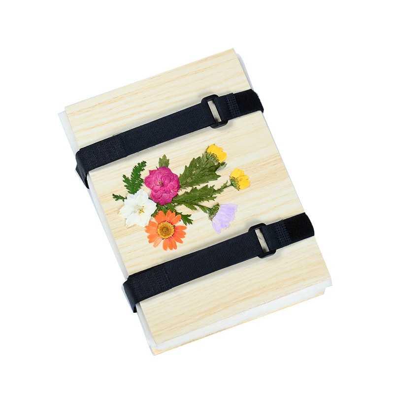 Complete flower press kit Flower Press Leaf Press Plant Press Layer Nature Press for Making Specimen Greeting Cards: Default Title