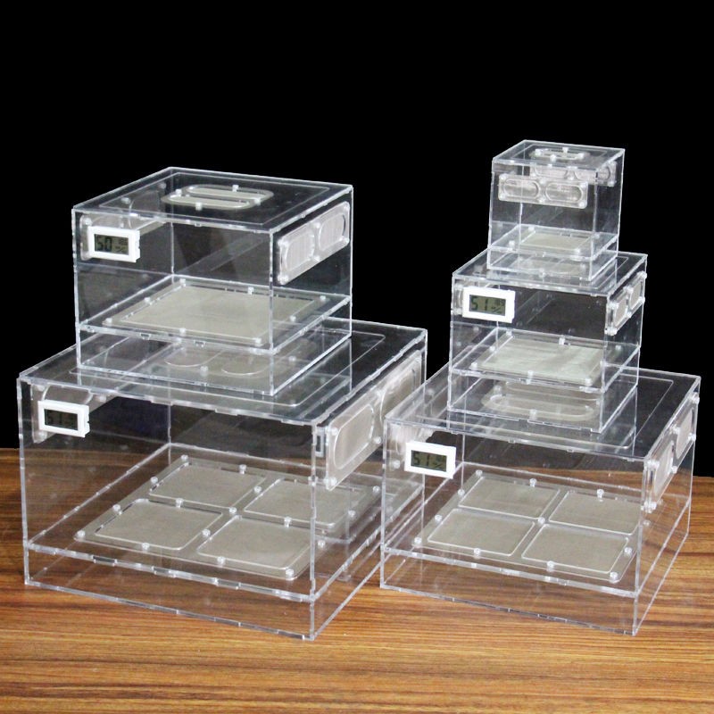 Kowloon Worm Insect Breeding Box Clear Acrylic Breeding Larva Or Fecal Separator