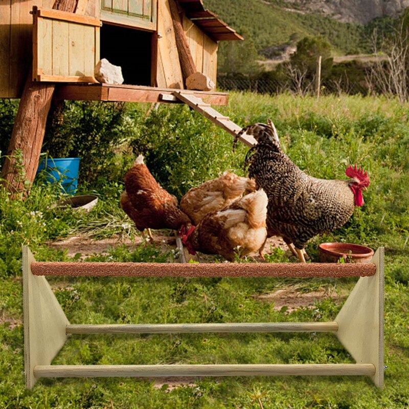 Kip Baars Driehoek Frosted Hen Stand Houten Tafel Top Spelen Speelgoed Voor Kippen Handgemaakte Swing Vogel Voor Grote Vogel Papegaai hens