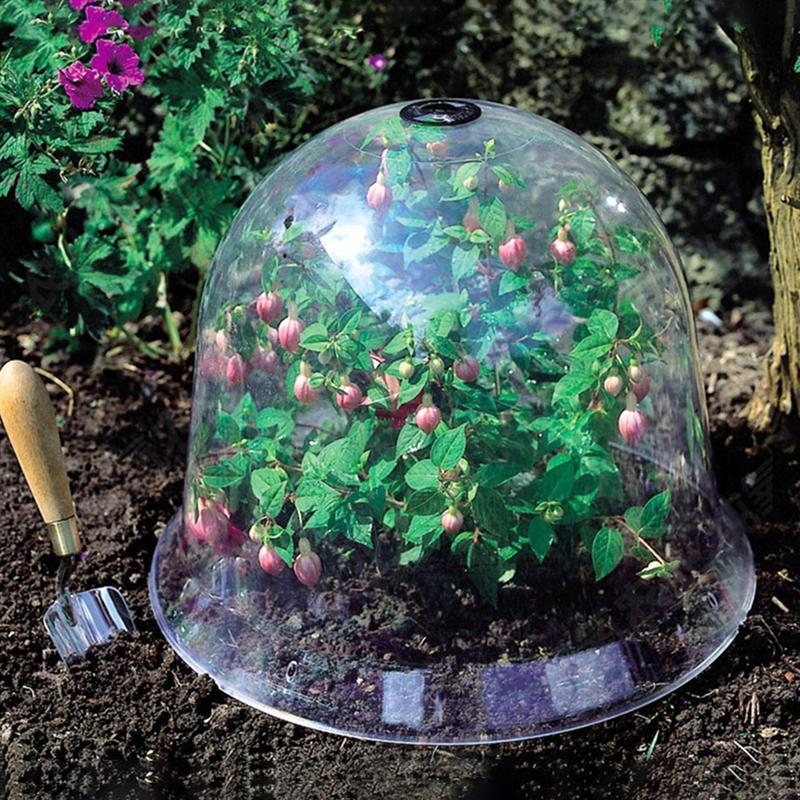 2 pièces jardin Cloche plastique protection plante cloches dôme isolation couverture plante abri Mini couverture pour jardin fleur cour plante
