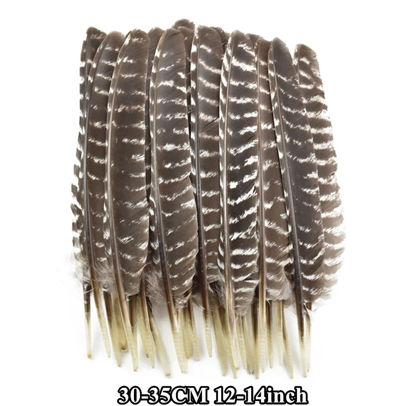 10 Stück echte natürliche Türkei Feder Adler Vogel Federn für Handwerk Dekor Karneval Federn Hochzeit Handwerk Zubehör Dekoration: grau