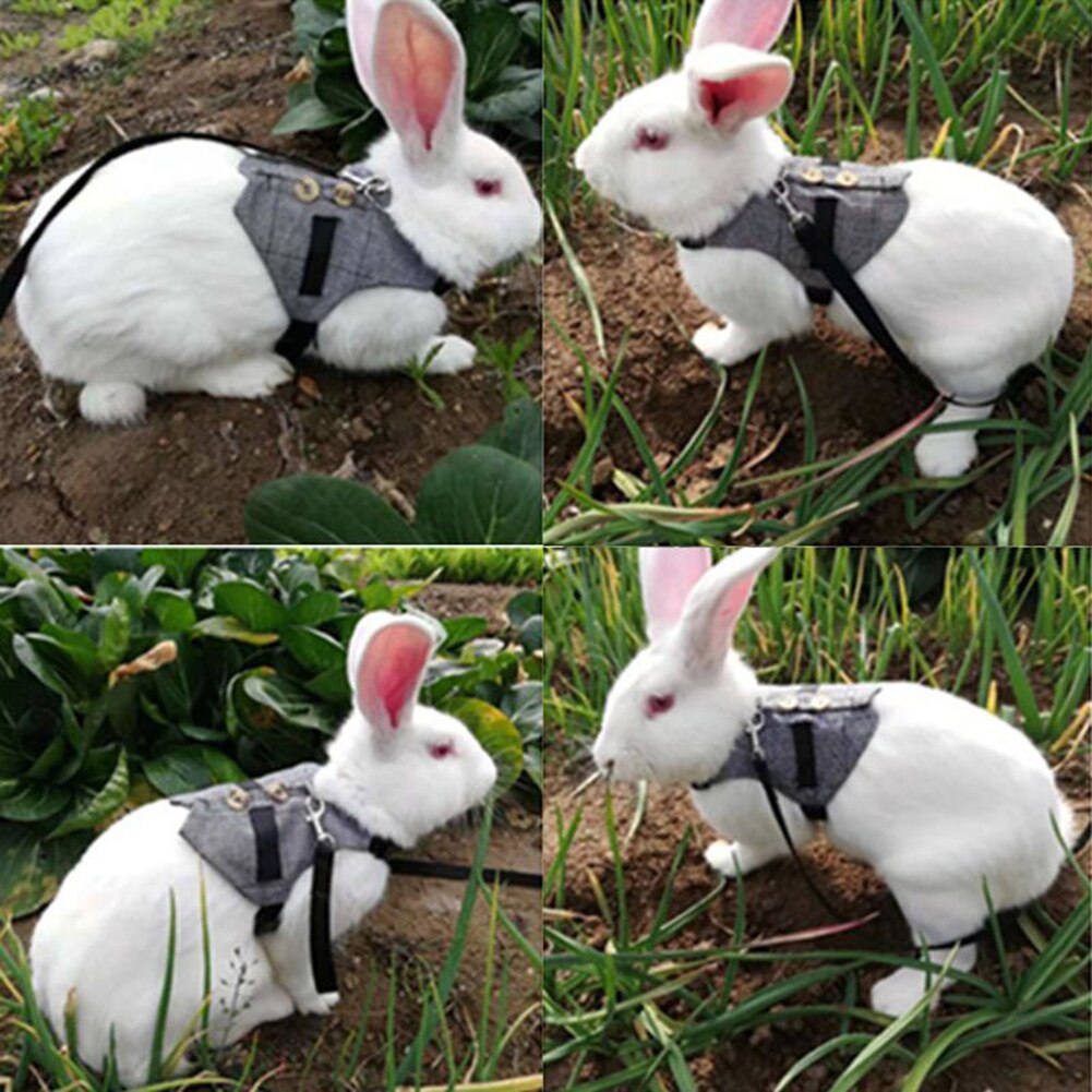 Lille kæledyr kanin plaid dragt sele tøj vest brystbånd snor trækkraft reb sikreste og mest behagelige sele med snor.
