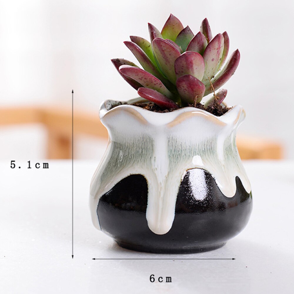 Maceta de cerámica para plantas suculentas, flujo Variable, para el hogar, oficina, plantas sin planta, 6 uds.