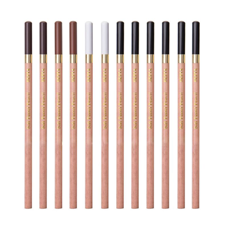 12 pièces/boîte Crayon bois Pastel doux crayons de charbon de bois pour croquis dessin AXYF