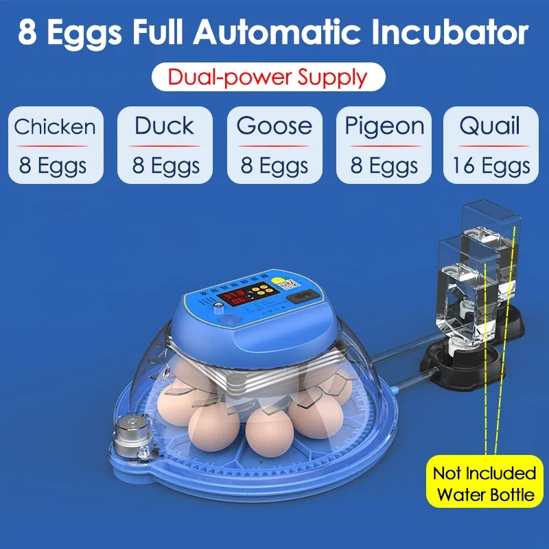Incubadora de 8 huevos, incubadora completamente automática, Control inteligente de temperatura/reposición automática de agua, herramienta de incubación de aves de corral: Default Title