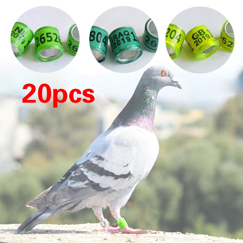 20 stücke Mehrfarbig Taube Fuß Ring Aluminium Vogel Papagei Bein Ring mit Anzahl knapp VöGel Fuß Zeichen Ringe Taube Tragen werkzeuge