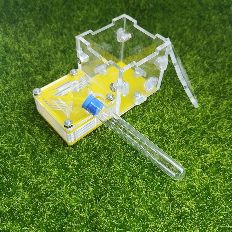 Gelb Ameise Bauernhof Palme Nest Neue Hinten Flugzeug Acryl Nest Ameise Werkstatt Haustier Ameise Reptil Terrarium