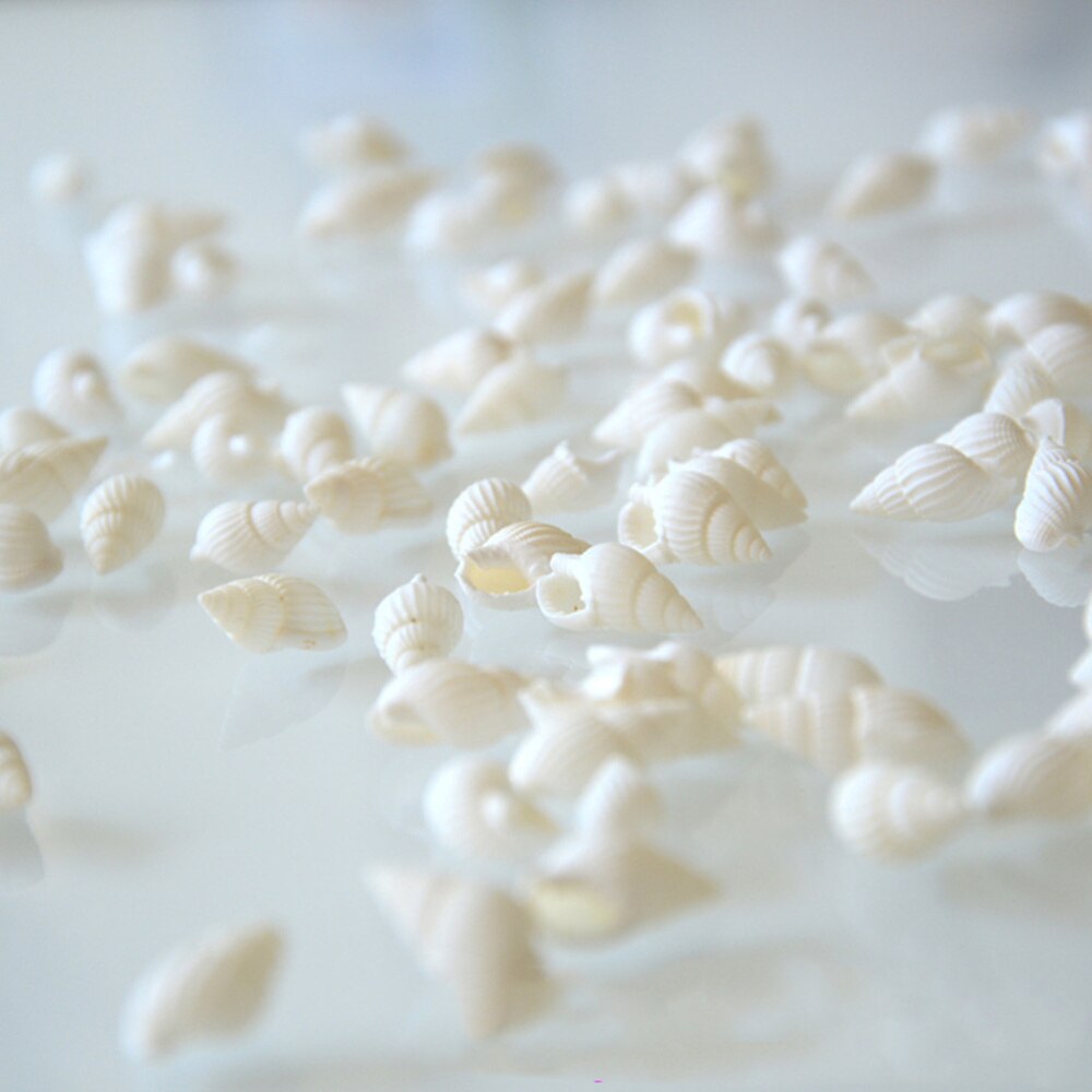 100pcs White Mini Sea Shell Conches Craft Wedding Garden Aquarium Decoration