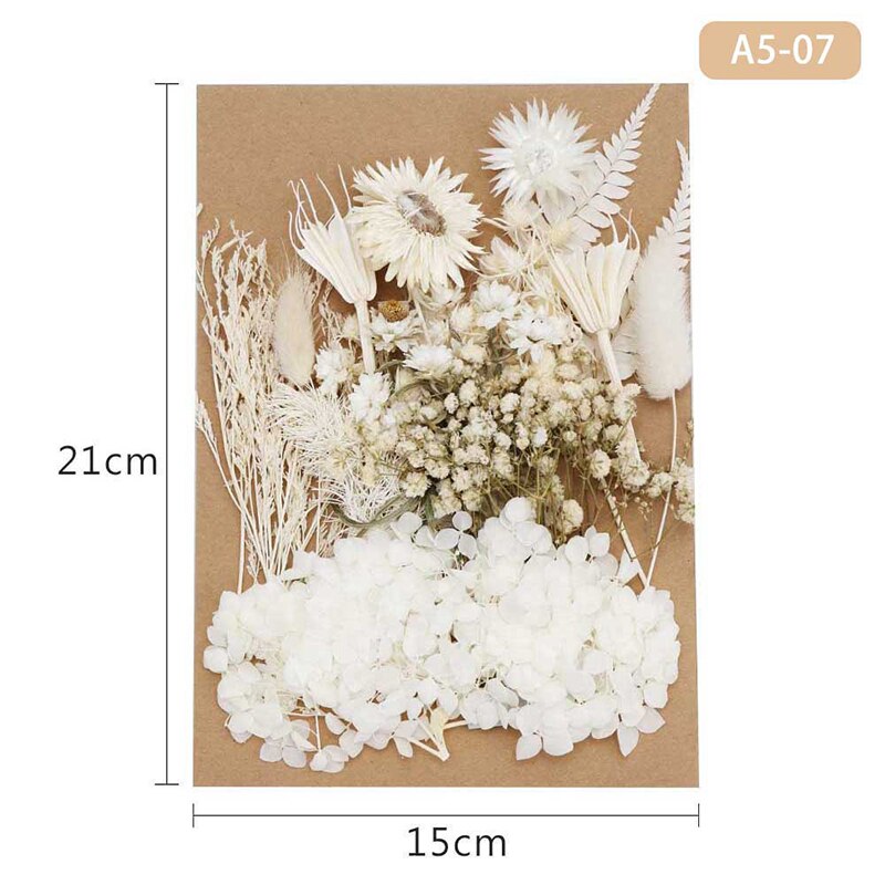 Fleur pressée mélangé fleurs séchées matériel pour bricolage aromathérapie bougies carte de voeux époxy artisanat boucles d'oreilles FAS6: Lac bleu