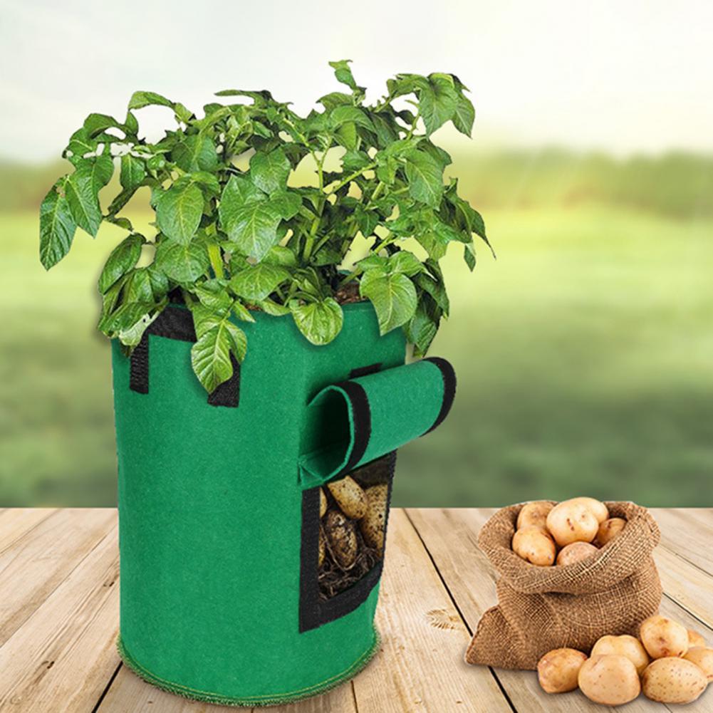 Planten Bag Praktische Tough Anti-Aging Aardappel Plant Groei Tas Groente Teelt Potten Voor Outdoor Tuin Accessoires