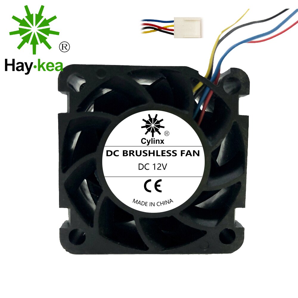 1/2 Zoll Rückschlagventil Aus Messing - Einweg-Rückflussverhinderer Für Wasserleitung