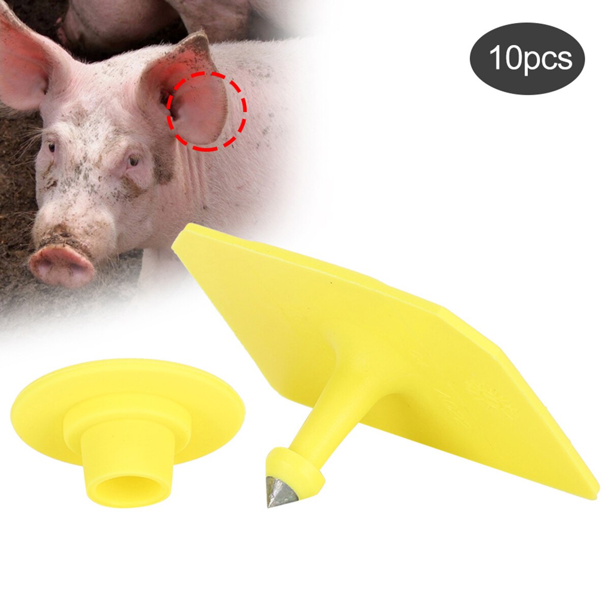 10PCS Pig Ear Tags Livestock Blank Ear Tags Farm Animals Management Identification Tags Farm Tools