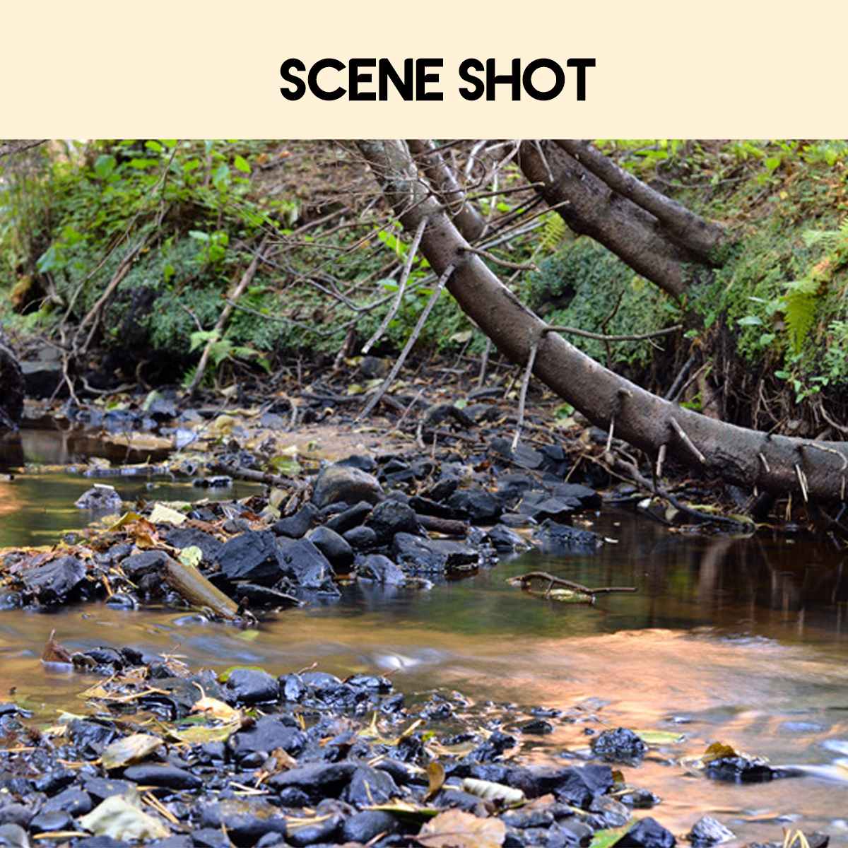 1080P HD camcorder video camera night vision 2.4 in LCD screen Camera 16X digital zoom camera with microphone