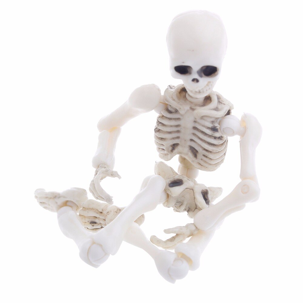 Beweegbare Mr Botten Skelet Menselijke Schedel Model Full Body Mini Figuur Speelgoed Halloween