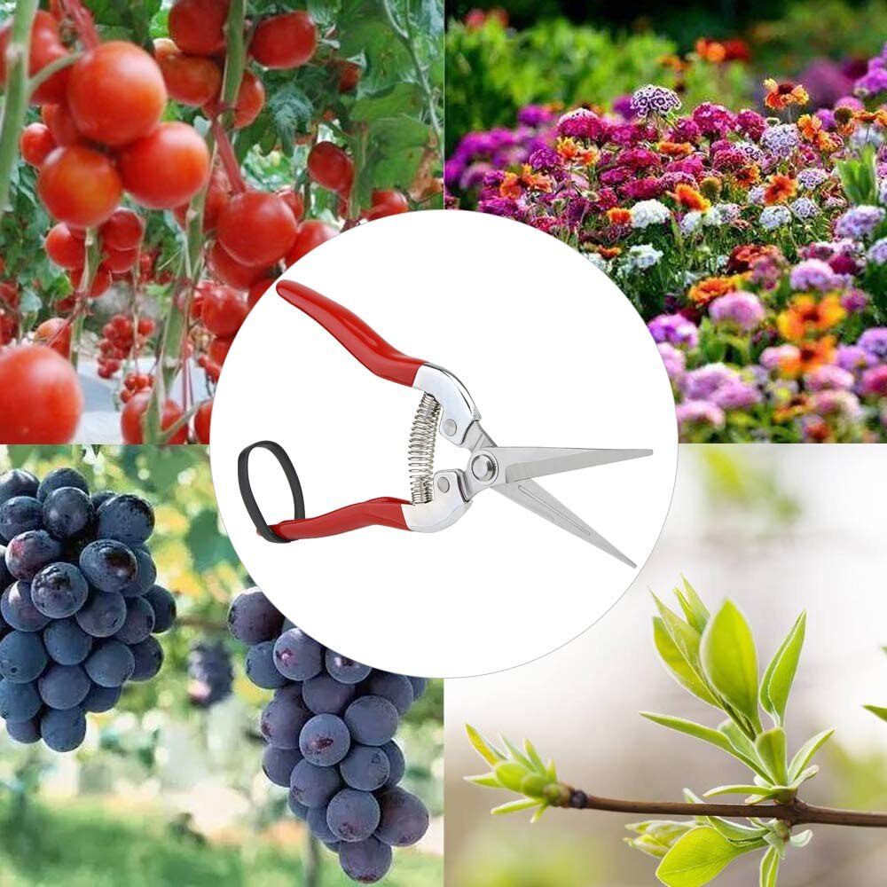 Tuinieren Hand Snoeischaar Tuin Schaar Snoeischaar Micro-Tip Snoeien Knipt Blad Trimmer Rechte Bloemist Schaar Voor Planten