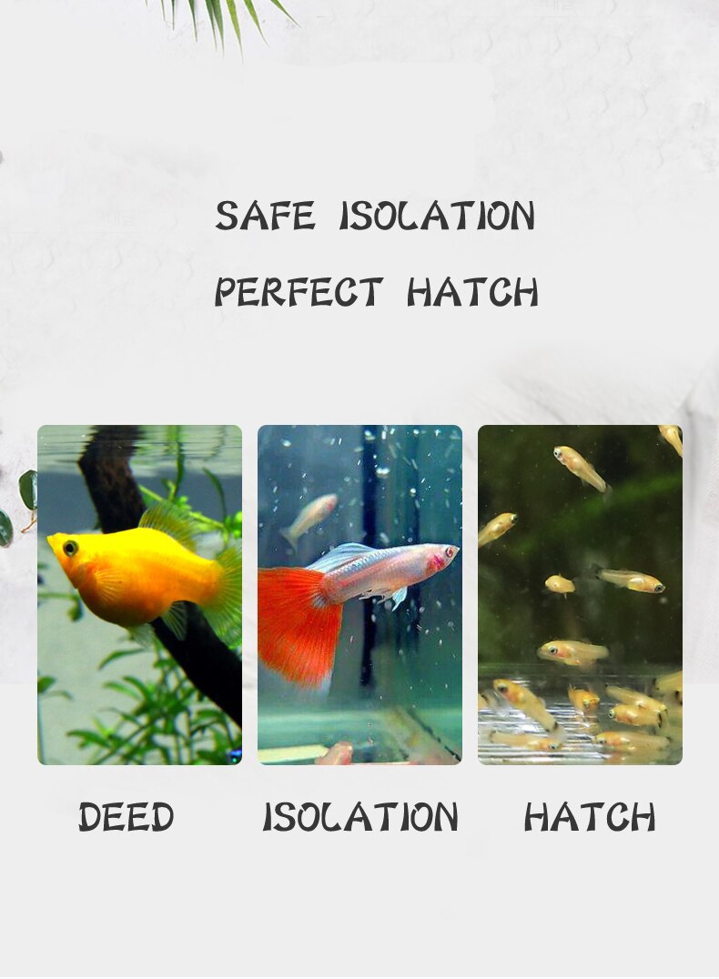 Aquarium fish tank isolation box fish breeding box transparent acrylic hatching box protection turtle fry 10*10*10CM