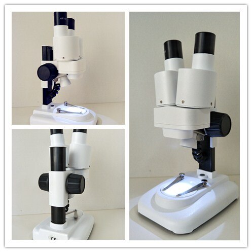 20X LED Binocular Stereo Microscope PCB Solder Tool Insect Plant Watch Student kids Microscope