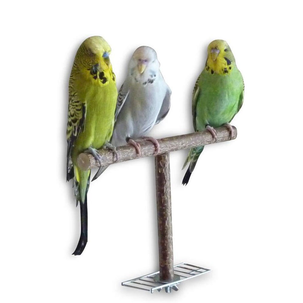 Fuglegynge, legetøj til papegøjebur, gyngespil til grå parakit cockatiel conure, klatretovsnet til kæledyr, fuglestige: Gyngestativ