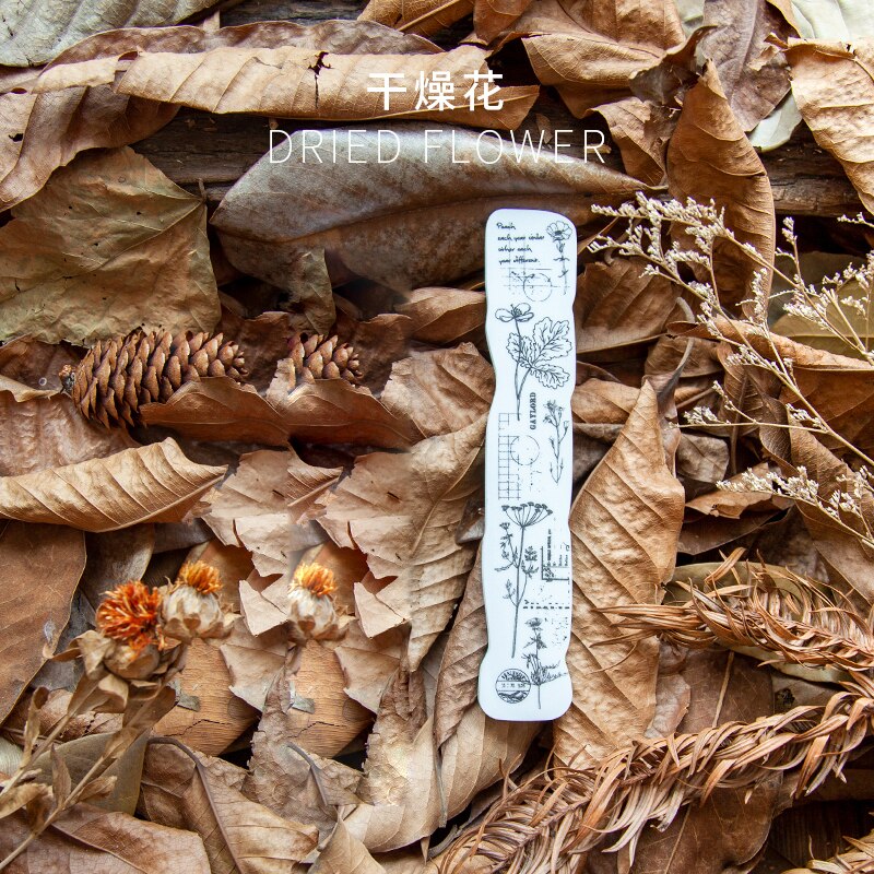 Vintage eucalyptus champignon skov blomst svamp klart stempel til scrapbooking album diy håndværk dekoration gummistempel: F