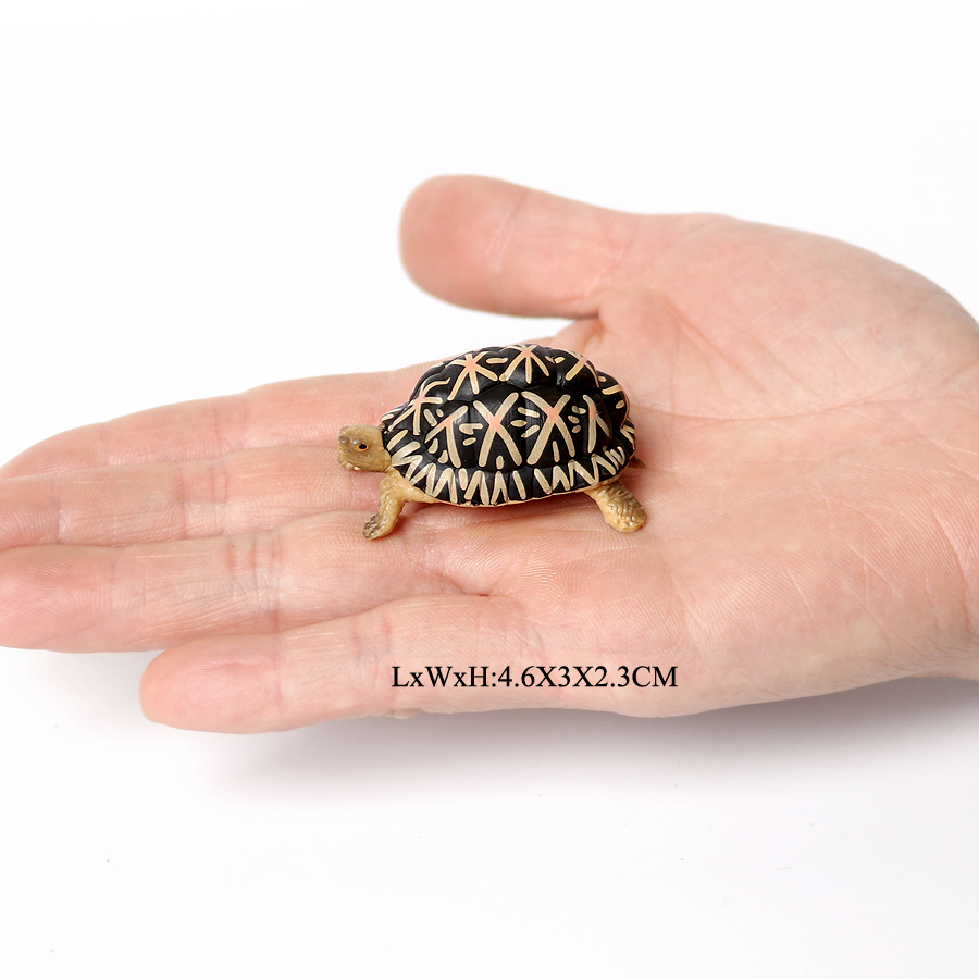 Realistische Plastic Zeeschildpad Levensechte Schildpadden Oceaan Dier Kleine Schildpad Beeldjes Voor Party Favor Decoratie Educatief Speelgoed: NO.13