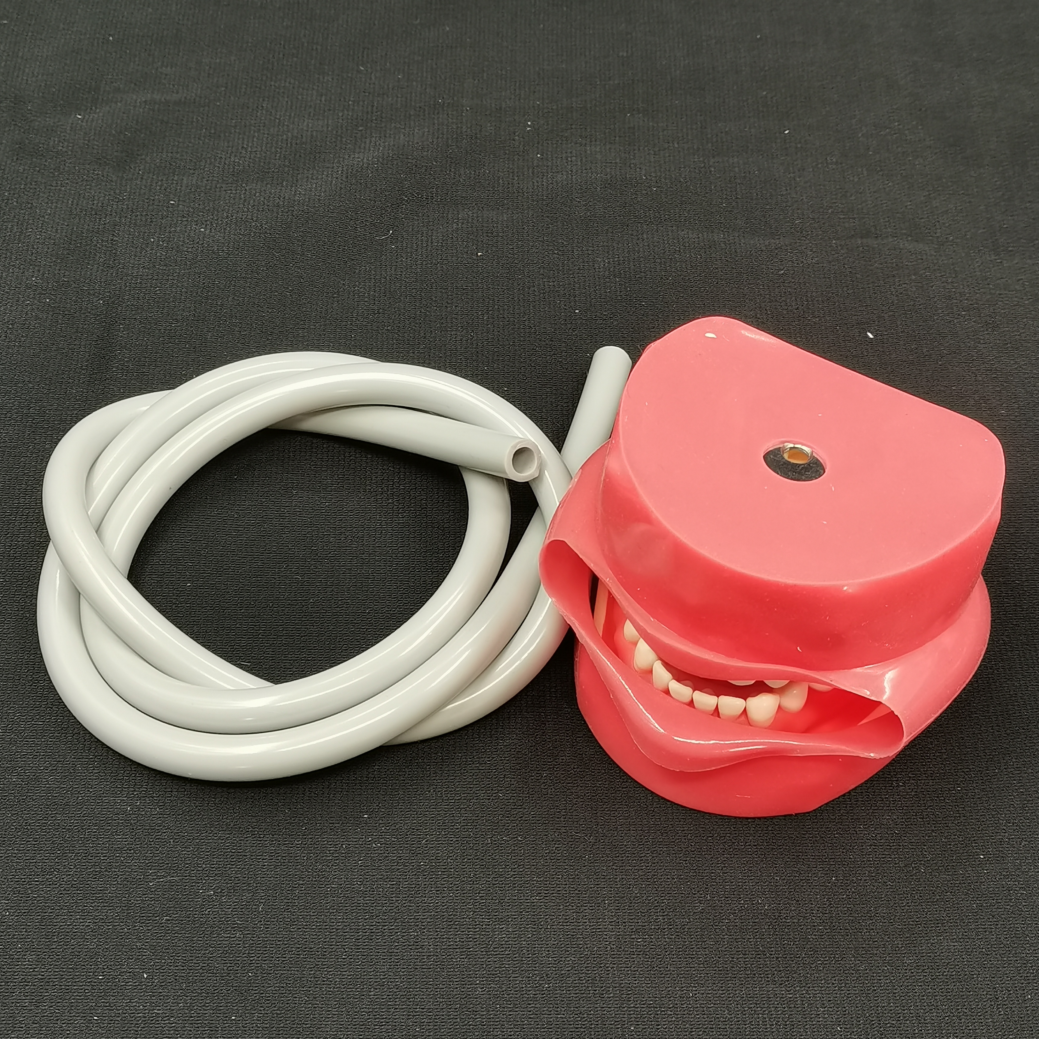 Tandheelkundige Benodigdheden 28Pcs Typodont Tand Model Met Gezicht Tandarts Tanden Phantom Hoofd Model Voor Tandheelkunde Praktijk Instrumenten Unit