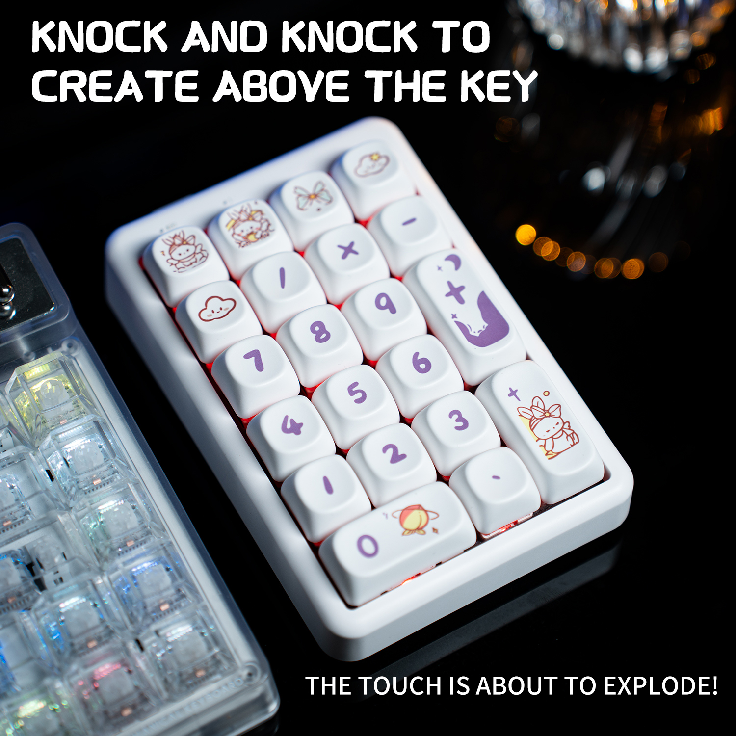 21-Key Wireless Mechanical Keyboard Number Pad Tri-Mode Cartoon Numeric Keypad with -Swappable Switches RGB Backlight