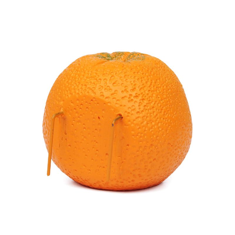 Grappige fruitvormige vogel papegaaienvoederkooi voer water voerbak container