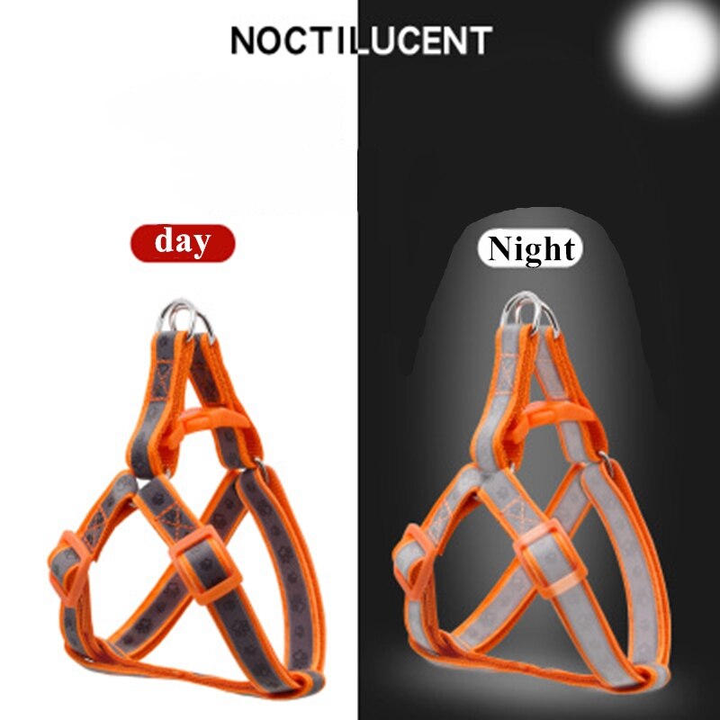 Reflective Movement Adjustable Nylon Dog Leash And Harness Set Paw Printing Pattern Dog Chest Harness Leash Pet Leash2021