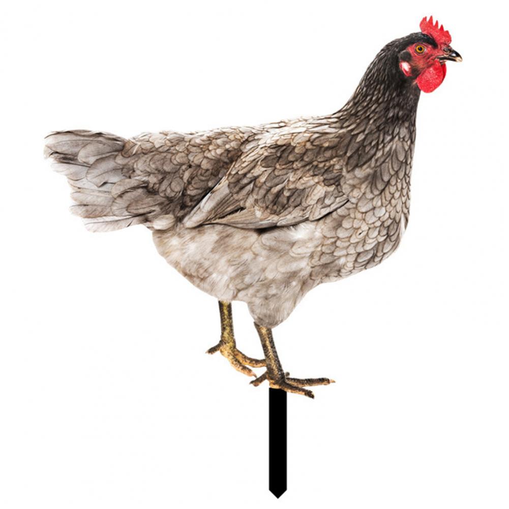 Ornamental Eco-friendly Rooster Decor Garden Statue Chicken for Garden: WHITE