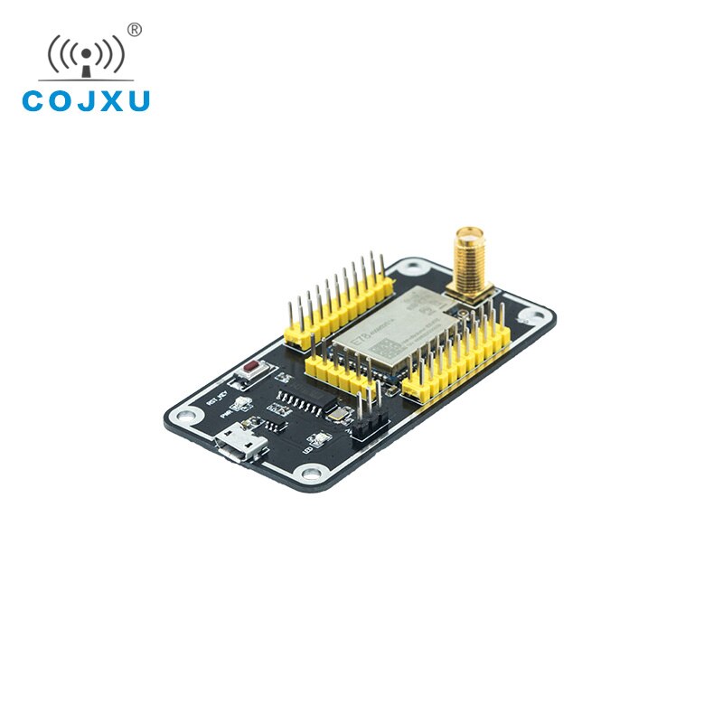 E78-400TBL-01A E78 Serie Modul Prüfung Gremium ASR6501 USB Prüfung Bausatz Soc Usb zu TTL LoRaWan LoRa Modul