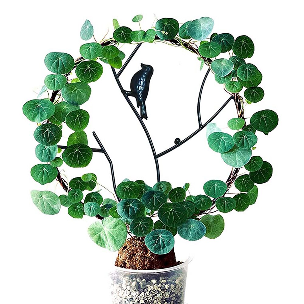 Indoor Pot Display Pea Climbing Plants Plant Trellis Cucumbers Metal DIY Flower Vegetables Vine Rose Support Garden Ivy