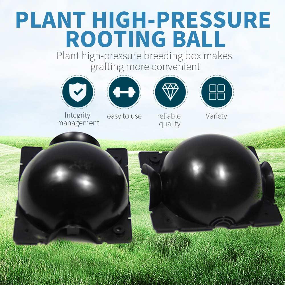 5Pcs Plant Propagation Box Balcony Beautiful Pp Plastic Economic Garden Plant Rooting Ball Flowerpot Planter Home