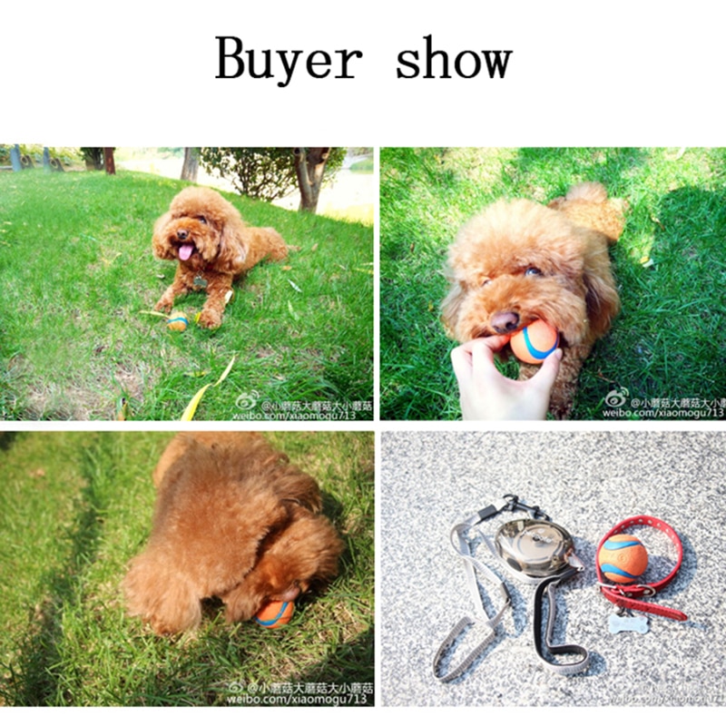 Interaktive Haustier Hund Spielzeug Hund Ball Spielzeug Für klein Mittel groß Hunde Lustige Haustier Ausbildung Gummi Bälle Biss Beständig Welpen kauen Spielzeug