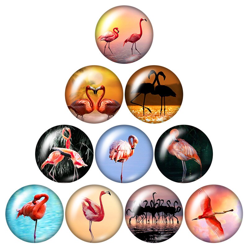 DB0570 Flamingo Vögel trendy 18mm snap tasten 10 stücke mischte runde foto glas cabochon stil für druckknopf schmuck: DB0803