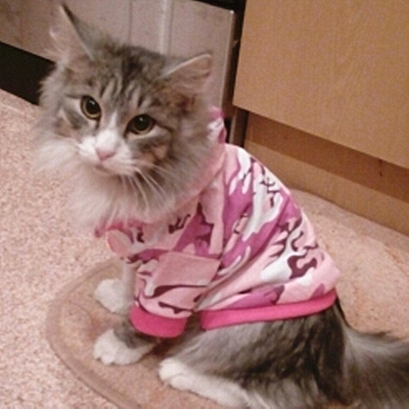 Camouflage kæledyr kat tøj til små katte hættetrøje frakke jakke vest kæledyr tøj kanin dyr kæledyr kat forsyninger 12 b 30 s 2