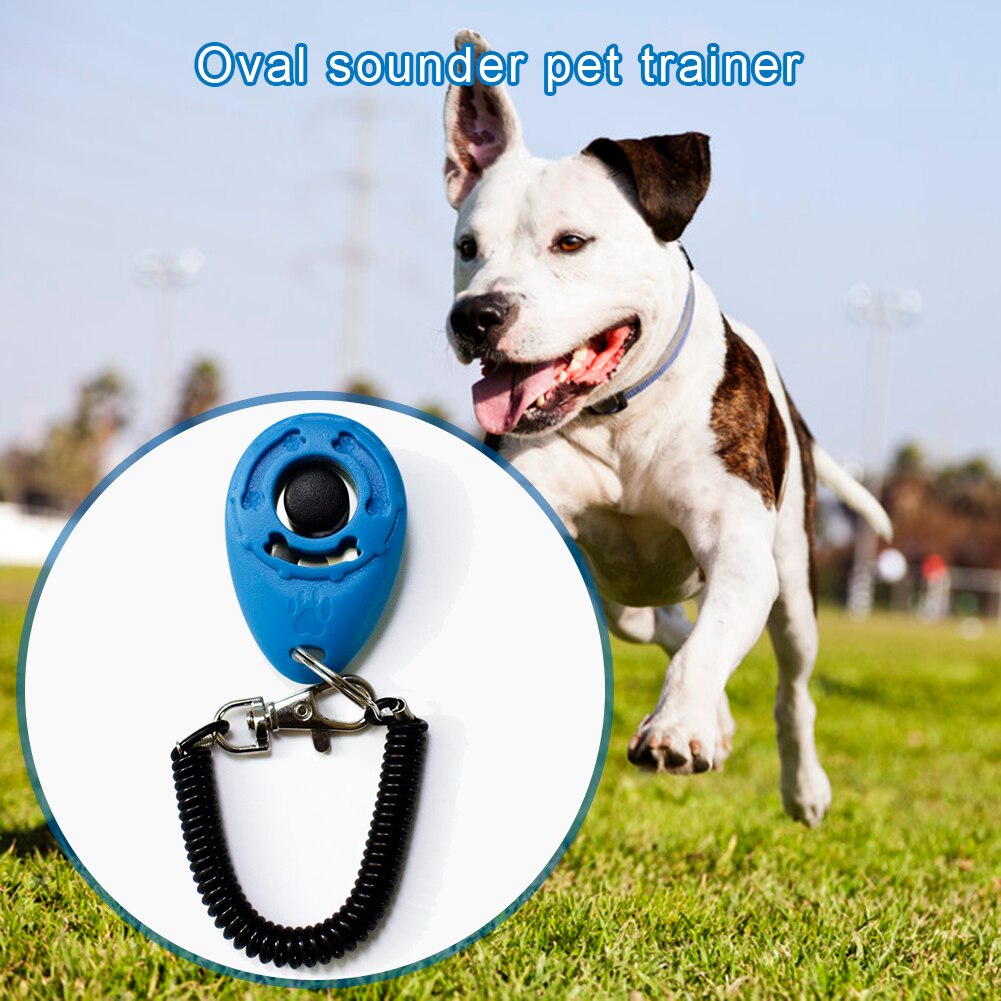 Correa de policarbonato para perros, accesorio de entrenamiento para perros y mascotas, Perro inteligente, 1 unidad