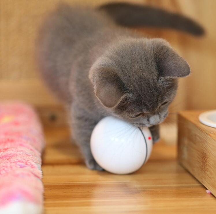juguete para gatos luz LED bola libre carga USB juguete divertido gato inteligente bola rodante automática juguete de adiestramiento de gatos LED luminoso: Blanco