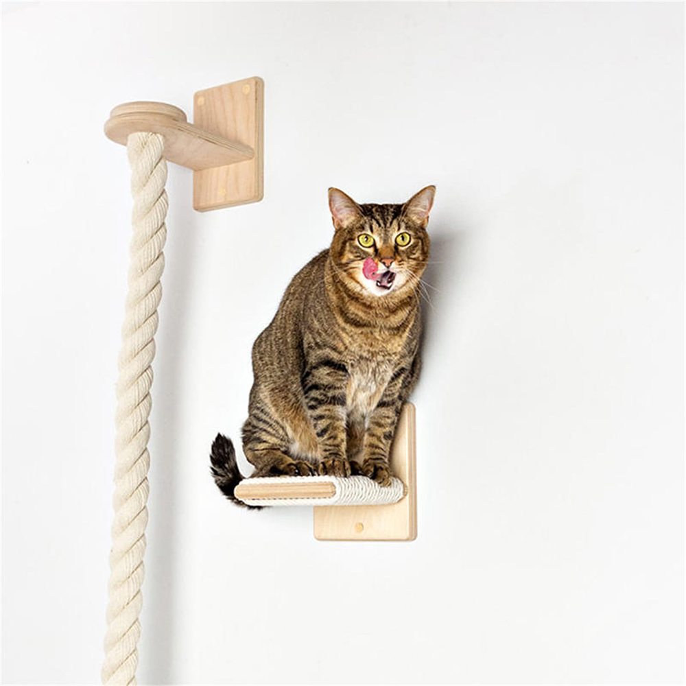2Pcs Cat Climbing Rope and Shelf Set Wall Mounted Climber Tree Jungle Gym for Indoor Cats Scratching Post Ladder Interactive Toy